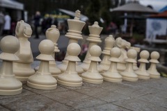 chess-pieces-1493222287bic.jpg